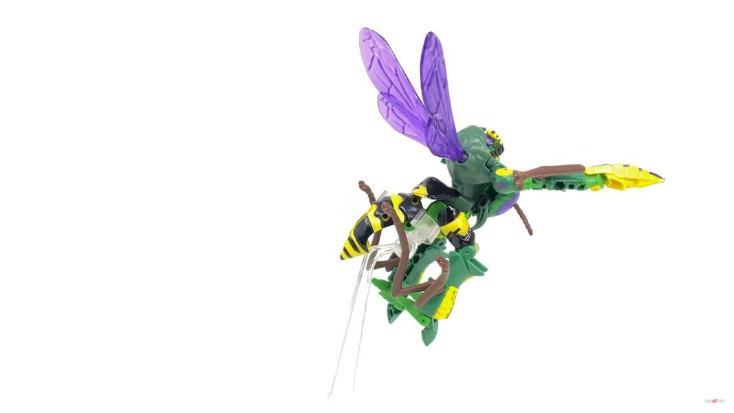 Transformers Kingdom Deluxe Class Waspinator  (9 of 28)